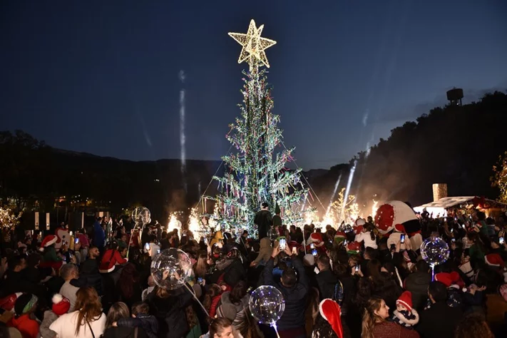 Bnachii Lake Christmas Tree Lighting 
